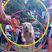 Ferienprogramm // Sommerferien 2021 // Pop-Up Playground mit Hund Yoyo in Rödelheim